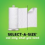 Bounty Paper Towels, Select-A-Size, 8 Triple Rolls - Image 9